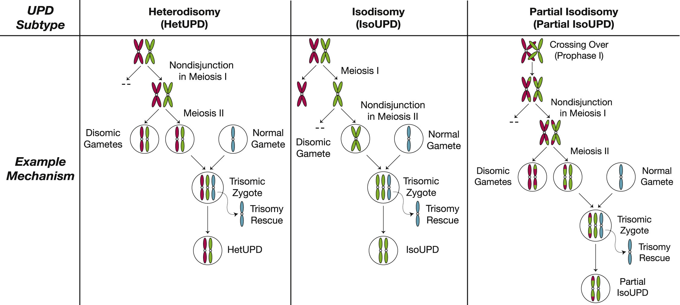 https://www.tassiloneubauer.com/images/diagram_upd.jpg